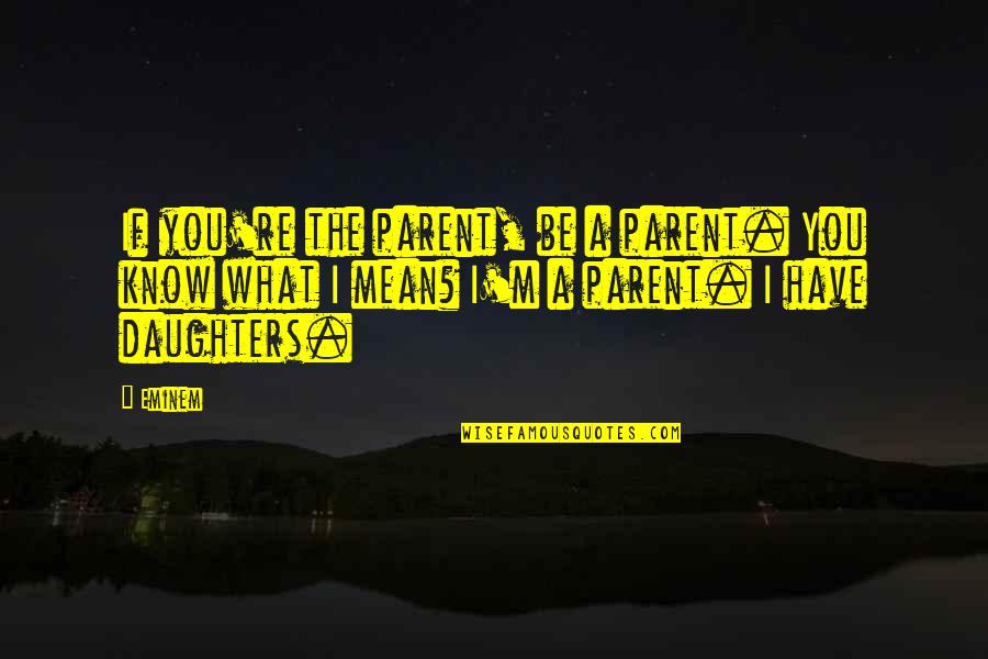 Paspoort Kwijt Quotes By Eminem: If you're the parent, be a parent. You