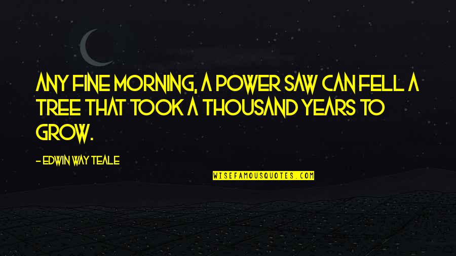 Pasport Quotes By Edwin Way Teale: Any fine morning, a power saw can fell