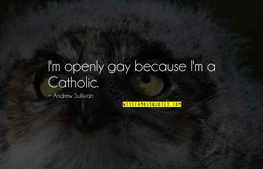 Pasqualotto Construtora Quotes By Andrew Sullivan: I'm openly gay because I'm a Catholic.