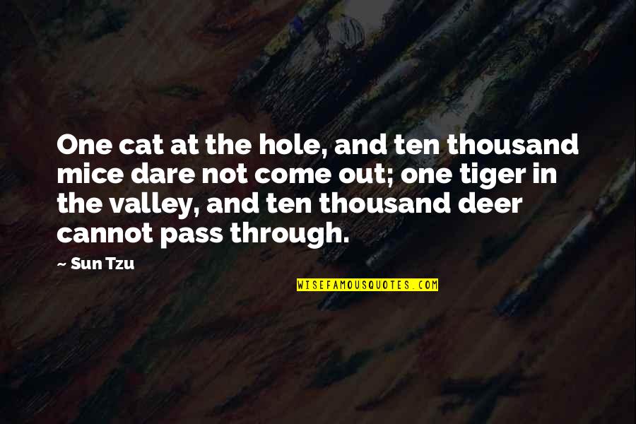 Pass Out Quotes By Sun Tzu: One cat at the hole, and ten thousand