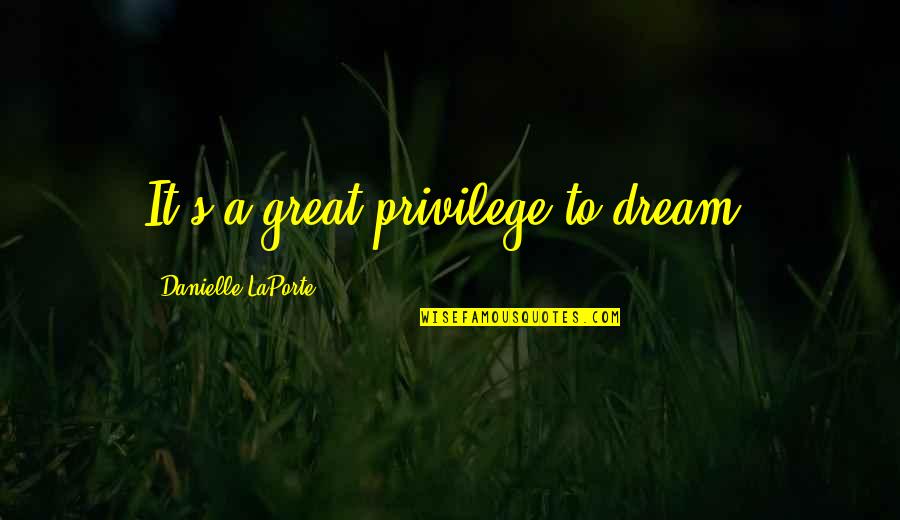 Passable Teen Quotes By Danielle LaPorte: It's a great privilege to dream.