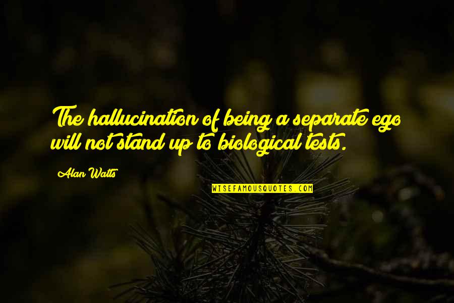 Passaro Desenho Quotes By Alan Watts: The hallucination of being a separate ego will
