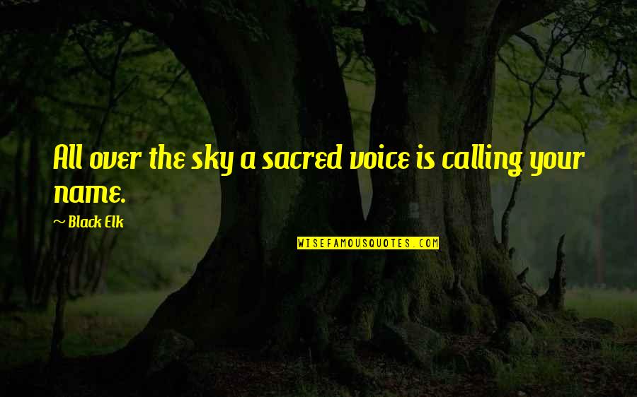 Passaro Quotes By Black Elk: All over the sky a sacred voice is