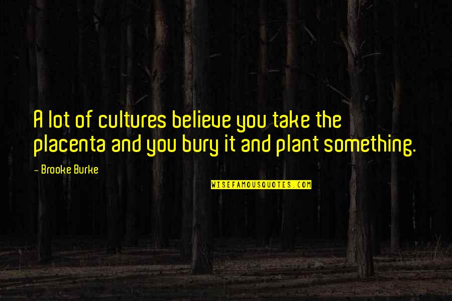 Passatore Brooklyn Quotes By Brooke Burke: A lot of cultures believe you take the