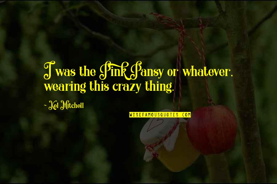 Passenden Beruf Quotes By Kel Mitchell: I was the Pink Pansy or whatever, wearing Passenden Beruf Quotes By Kel Mitchell: I was the Pink Pansy or whatever, wearing