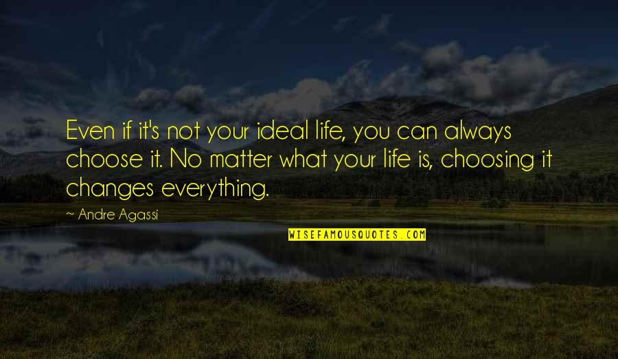 Passerine Rugs Quotes By Andre Agassi: Even if it's not your ideal life, you