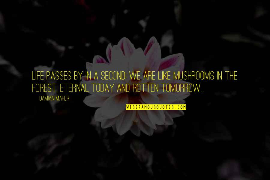 Passes By Quotes By Damian Maher: Life passes by in a second; we are