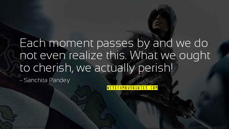Passes By Quotes By Sanchita Pandey: Each moment passes by and we do not