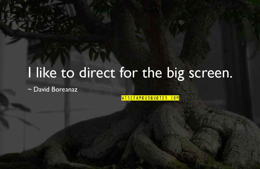 Passiertuch Quotes By David Boreanaz: I like to direct for the big screen.