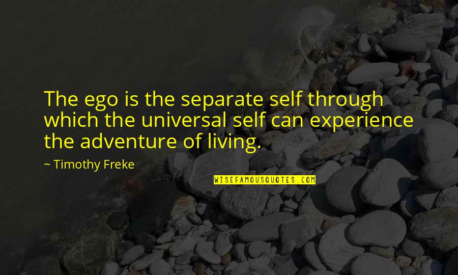Passing Of My Father Quotes By Timothy Freke: The ego is the separate self through which