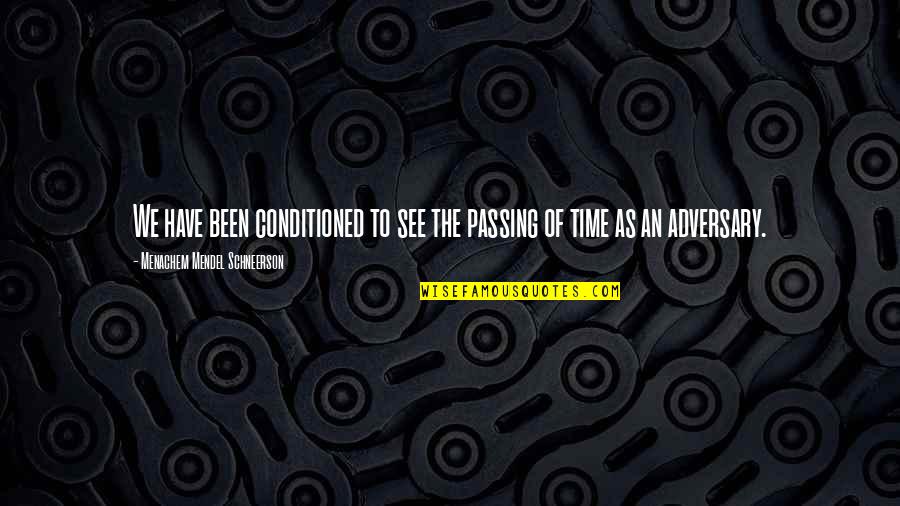 Passing Of Time Quotes By Menachem Mendel Schneerson: We have been conditioned to see the passing