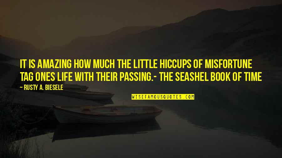 Passing Of Time Quotes By Rusty A. Biesele: It is amazing how much the little hiccups