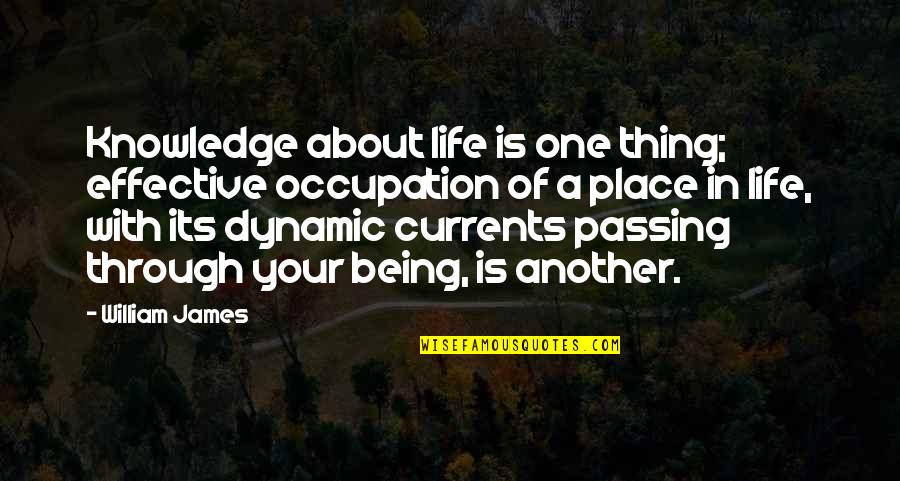 Passing Through Life Quotes By William James: Knowledge about life is one thing; effective occupation