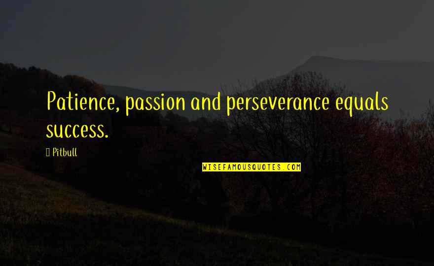 Passion Equals Success Quotes By Pitbull: Patience, passion and perseverance equals success.