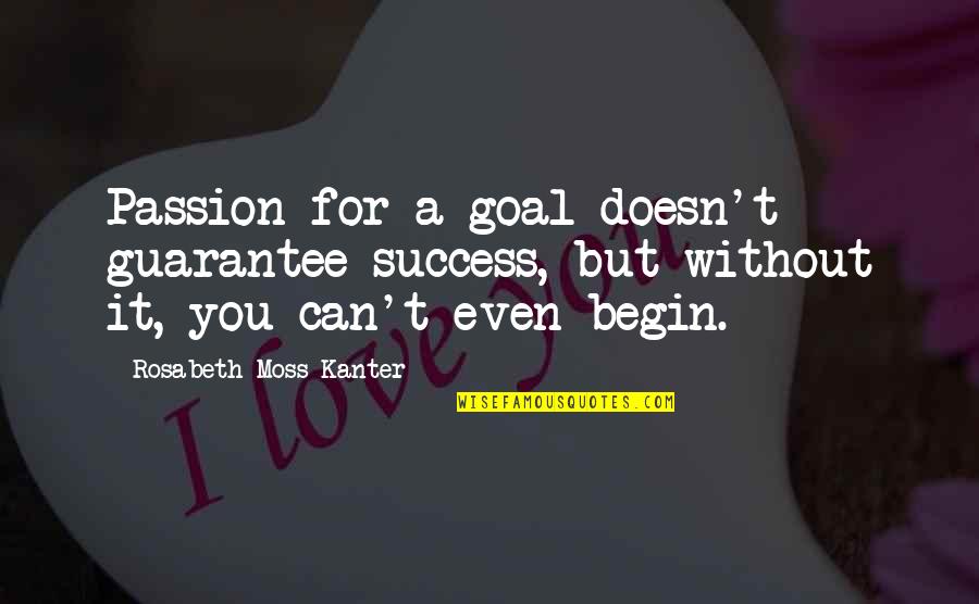 Passion Excellence Quotes By Rosabeth Moss Kanter: Passion for a goal doesn't guarantee success, but