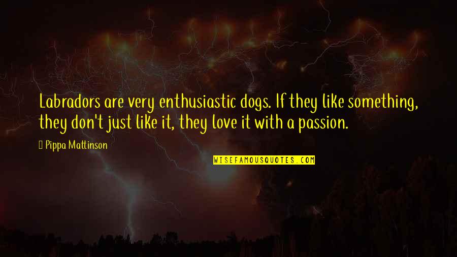Passion For Something You Love Quotes By Pippa Mattinson: Labradors are very enthusiastic dogs. If they like