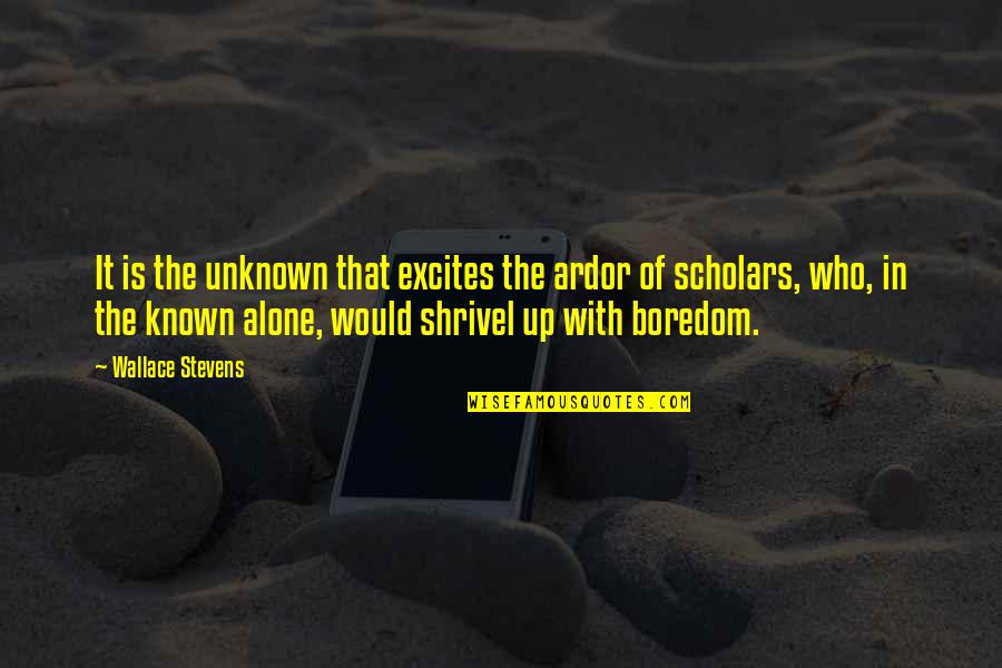 Passion For Work Excellence Quotes By Wallace Stevens: It is the unknown that excites the ardor Passion For Work Excellence Quotes By Wallace Stevens: It is the unknown that excites the ardor