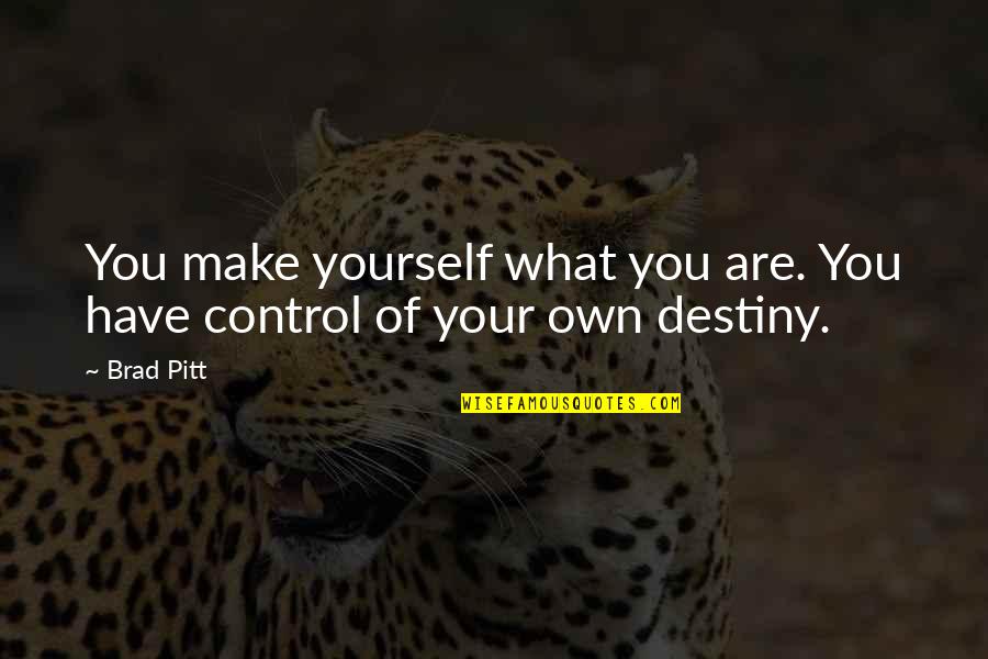 Passion Ignited Quotes By Brad Pitt: You make yourself what you are. You have