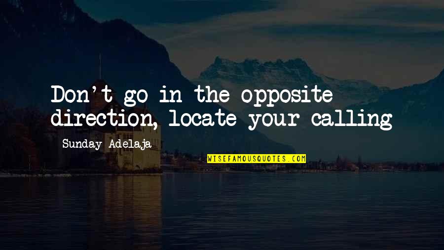 Passion In Work Quotes By Sunday Adelaja: Don't go in the opposite direction, locate your