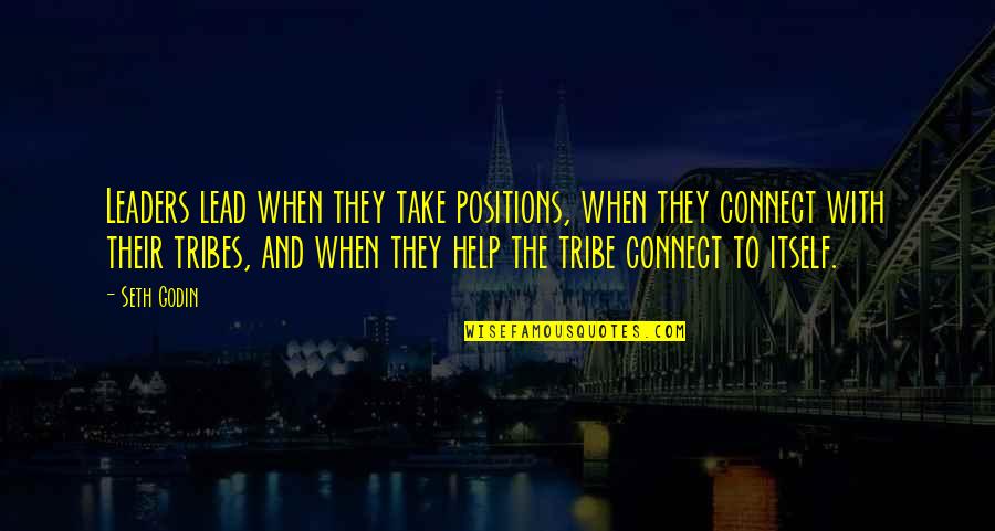 Passionate Mission Quotes By Seth Godin: Leaders lead when they take positions, when they