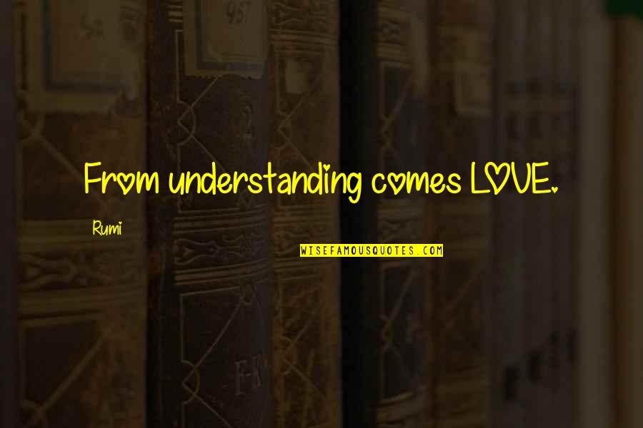 Past And Future Success Quotes By Rumi: From understanding comes LOVE.