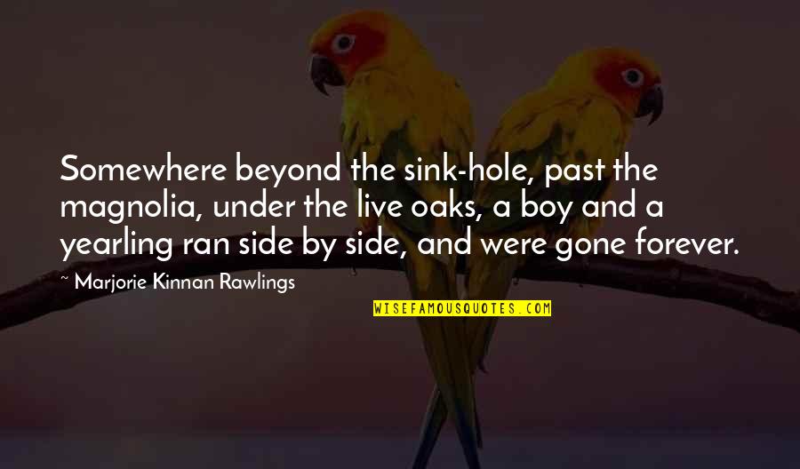 Past And Gone Quotes By Marjorie Kinnan Rawlings: Somewhere beyond the sink-hole, past the magnolia, under