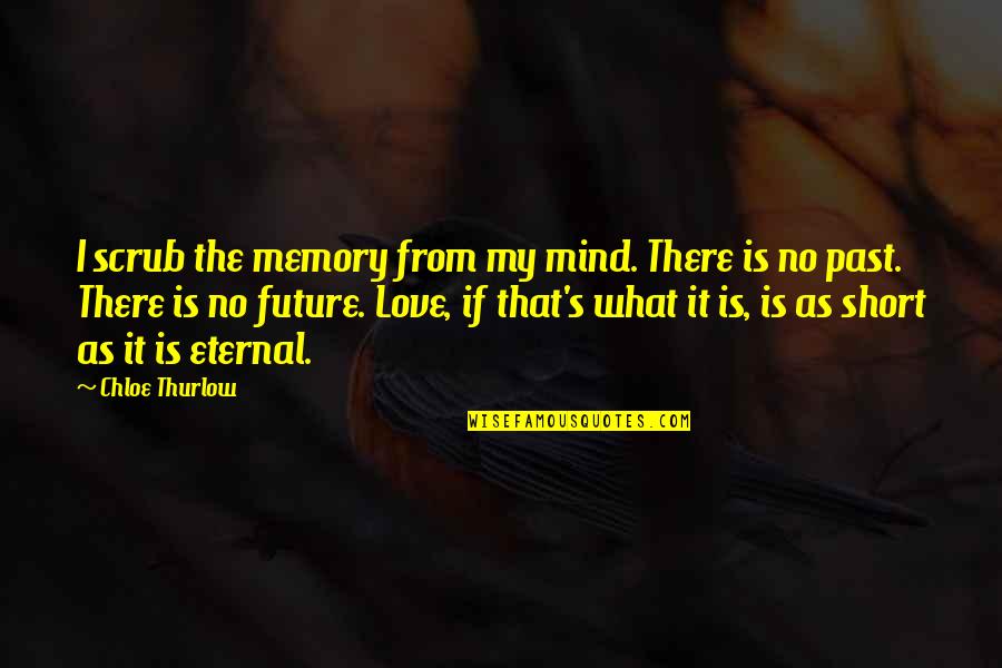 Past As Future Quotes By Chloe Thurlow: I scrub the memory from my mind. There