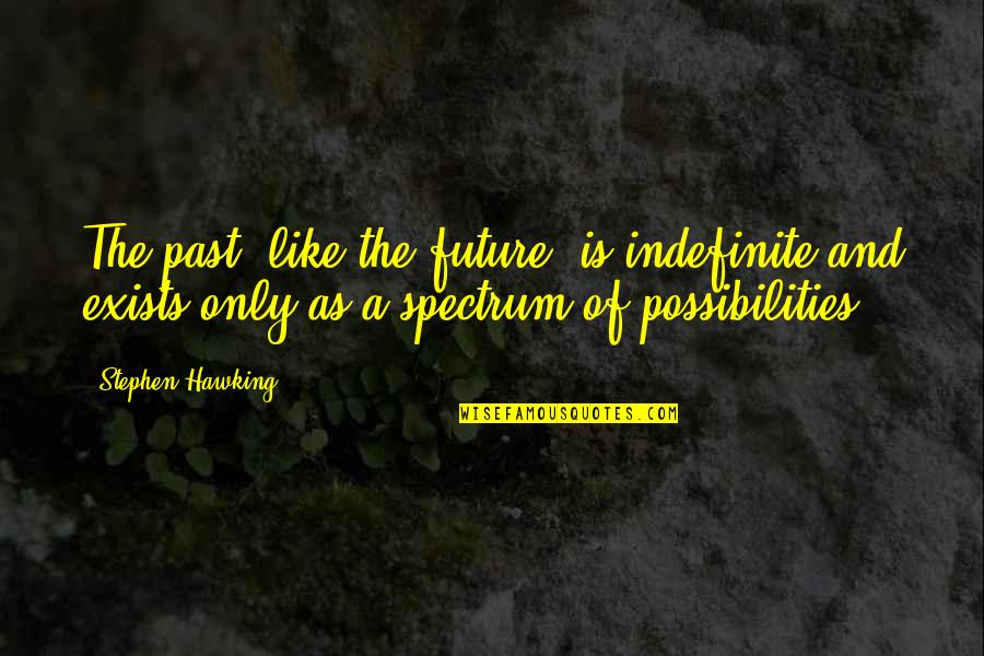 Past As Future Quotes By Stephen Hawking: The past, like the future, is indefinite and
