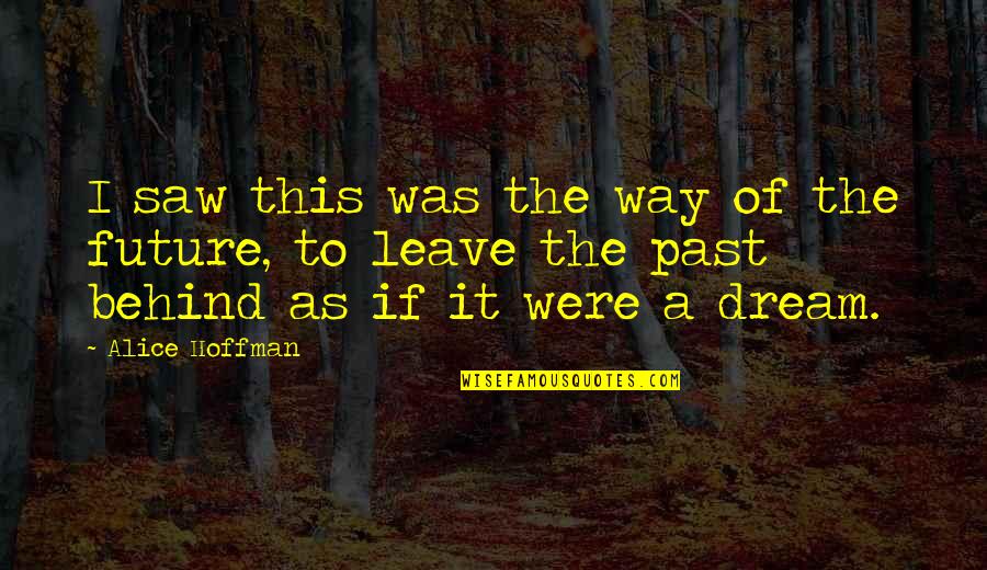 Past Behind Us Quotes By Alice Hoffman: I saw this was the way of the