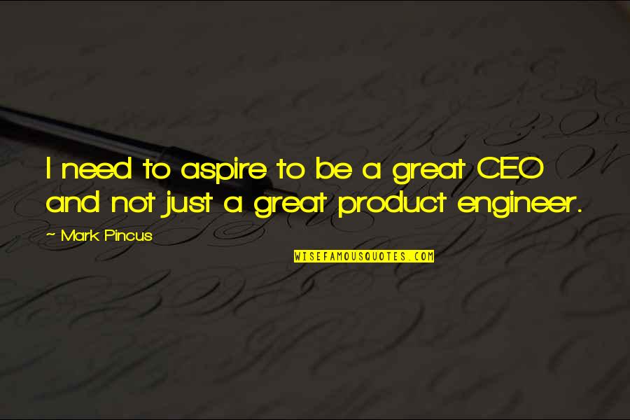 Past Cannot Be Undone Quotes By Mark Pincus: I need to aspire to be a great