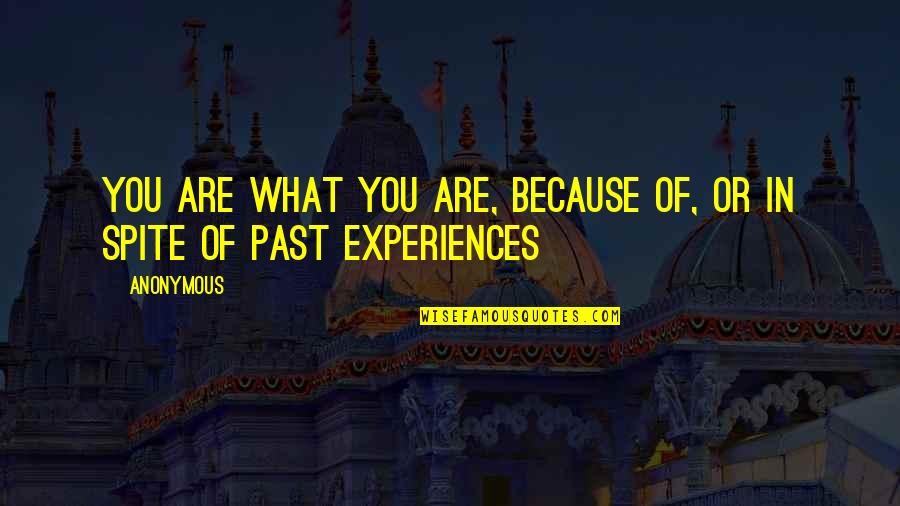 Past Experiences Quotes By Anonymous: You are what you are, because of, or