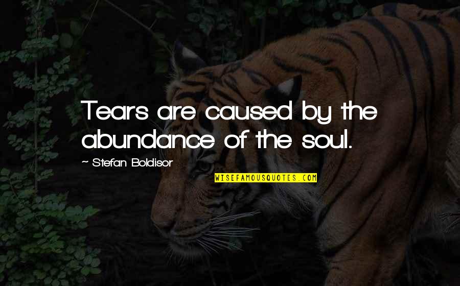 Past Friends Quotes By Stefan Boldisor: Tears are caused by the abundance of the