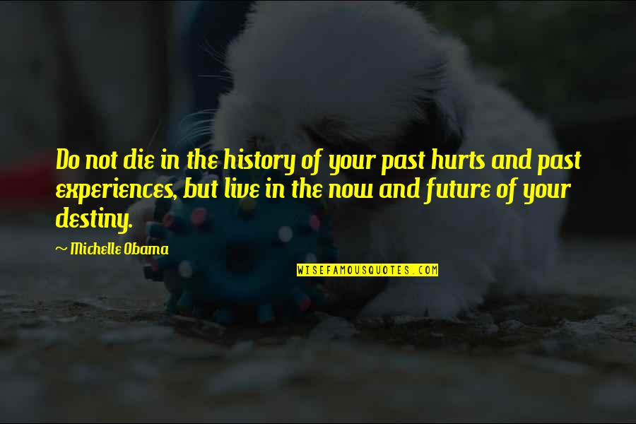Past Hurt Quotes By Michelle Obama: Do not die in the history of your
