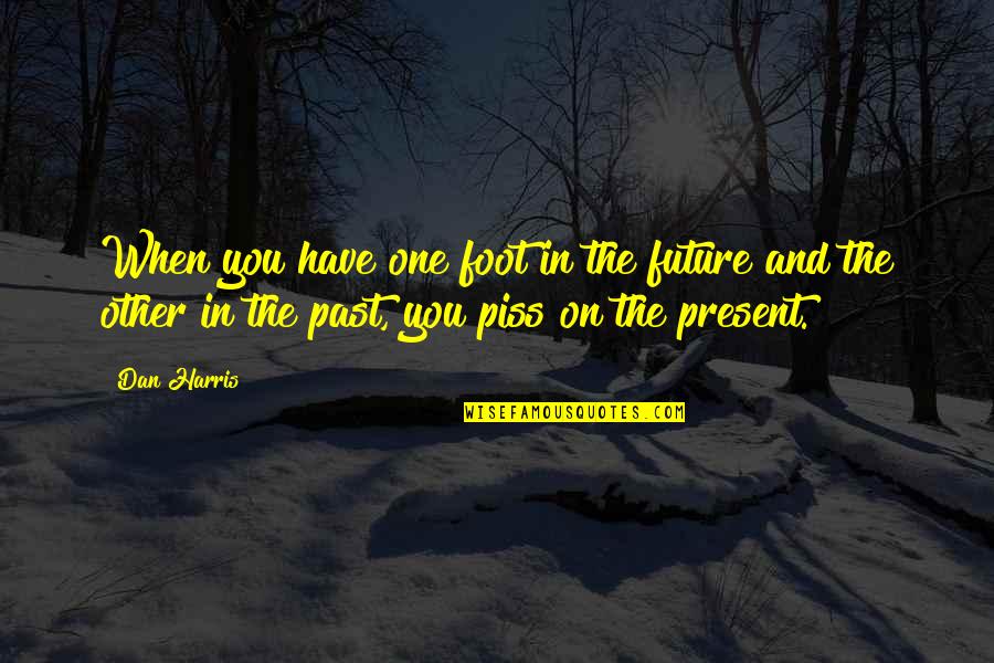 Past In The Future Quotes By Dan Harris: When you have one foot in the future