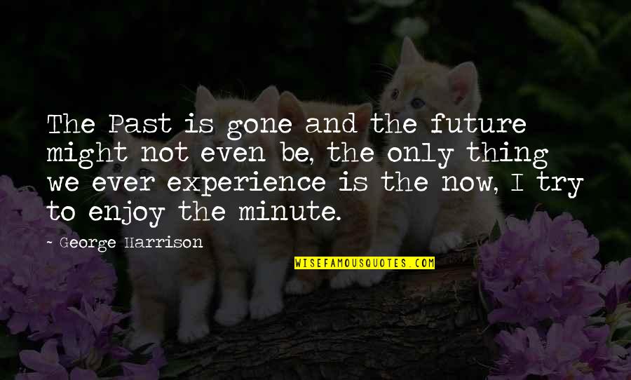 Past Is Experience Quotes By George Harrison: The Past is gone and the future might