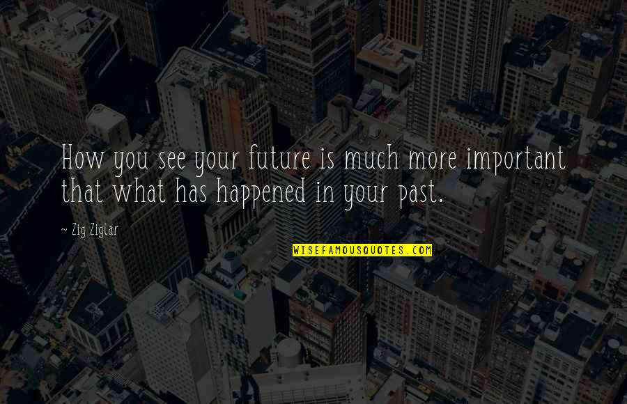 Past Is Important Quotes By Zig Ziglar: How you see your future is much more