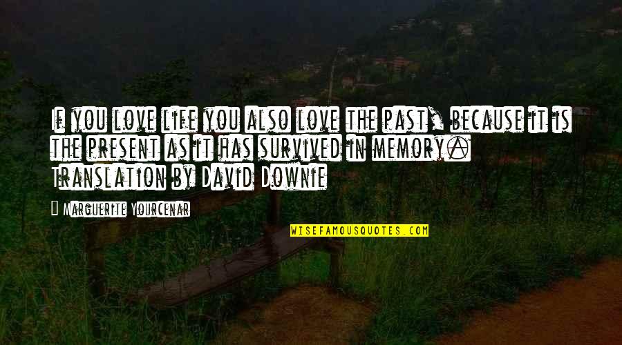 Past Love Life Quotes By Marguerite Yourcenar: If you love life you also love the