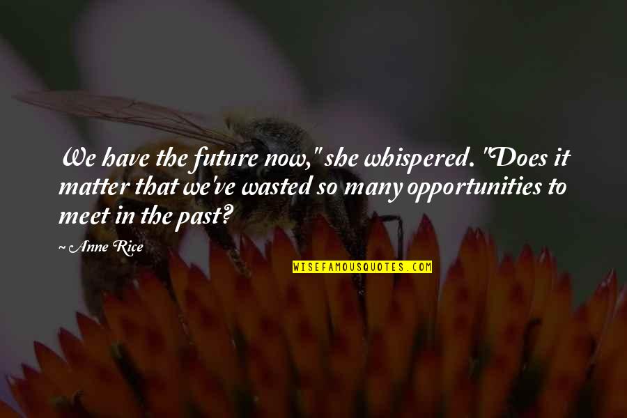 Past Now Future Quotes By Anne Rice: We have the future now," she whispered. "Does