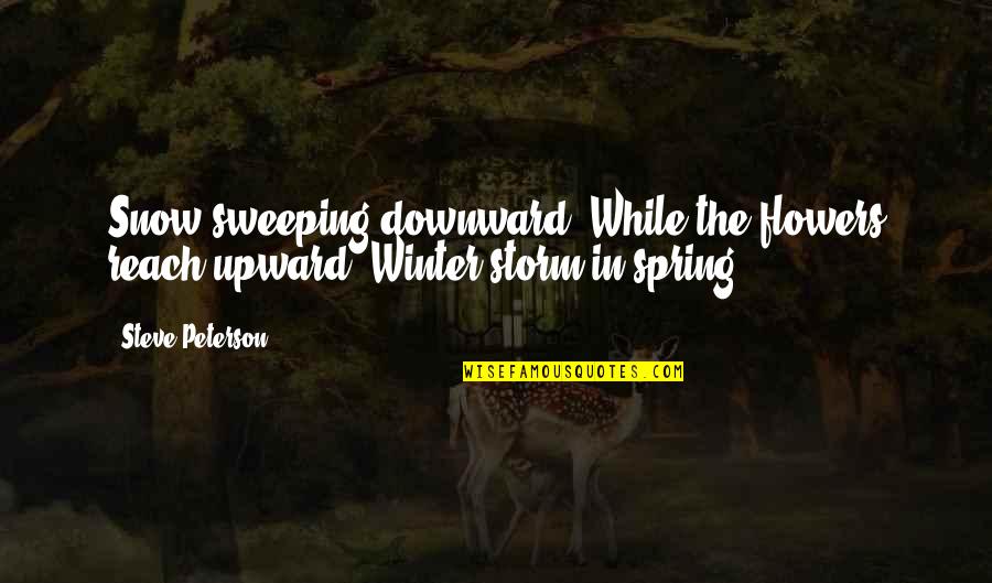 Past Present And Future Love Quotes By Steve Peterson: Snow sweeping downward, While the flowers reach upward--Winter