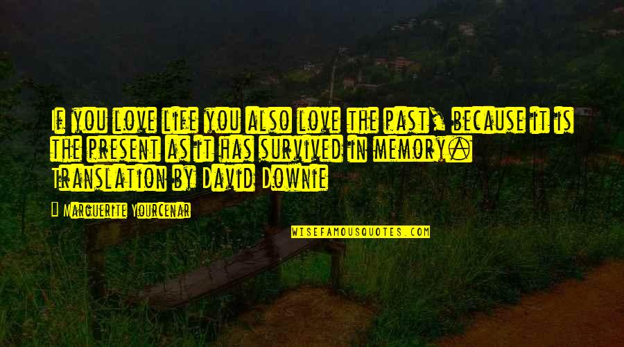 Past Present Love Quotes By Marguerite Yourcenar: If you love life you also love the