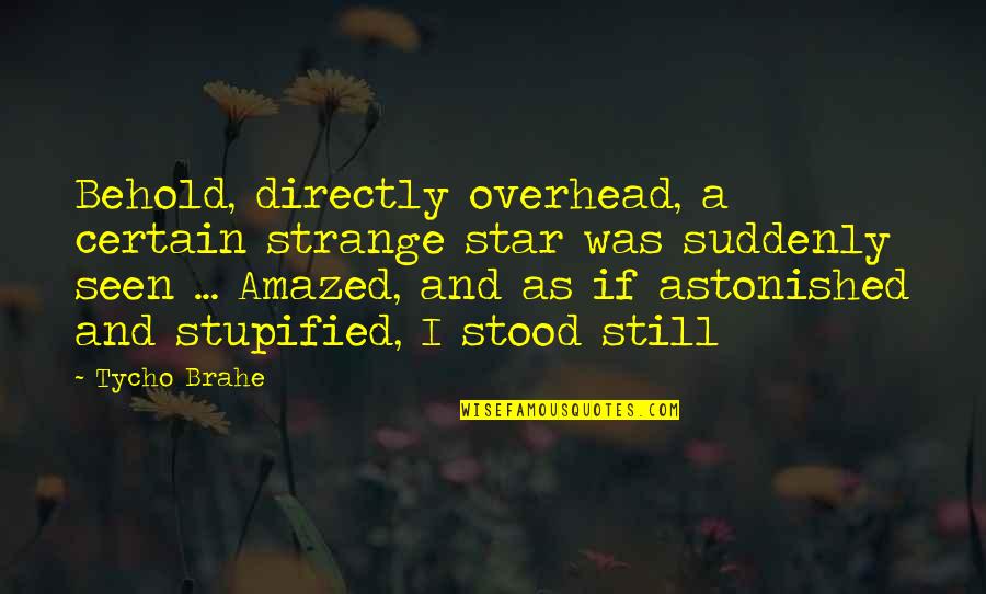 Past Shaping Who You Are Quotes By Tycho Brahe: Behold, directly overhead, a certain strange star was