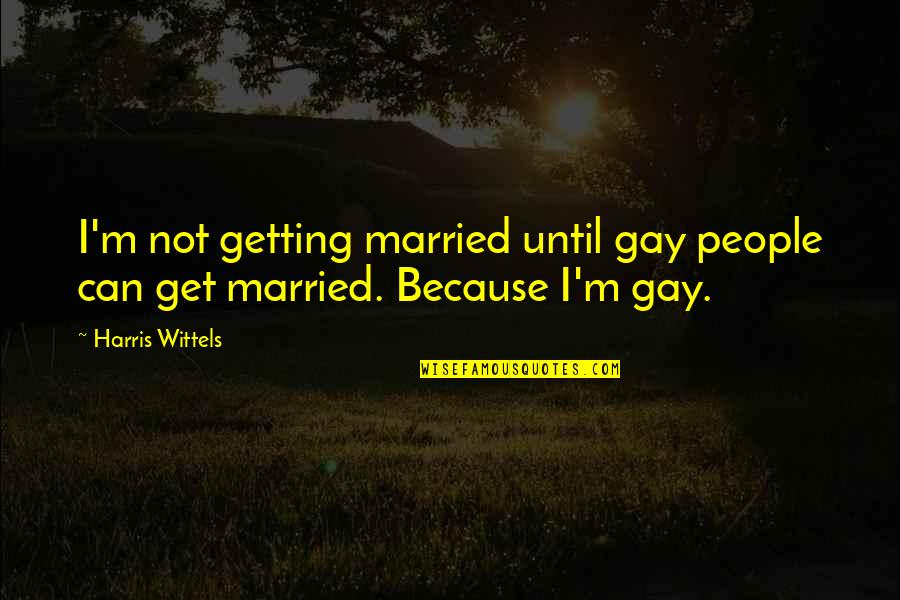 Past Wounds Quotes By Harris Wittels: I'm not getting married until gay people can