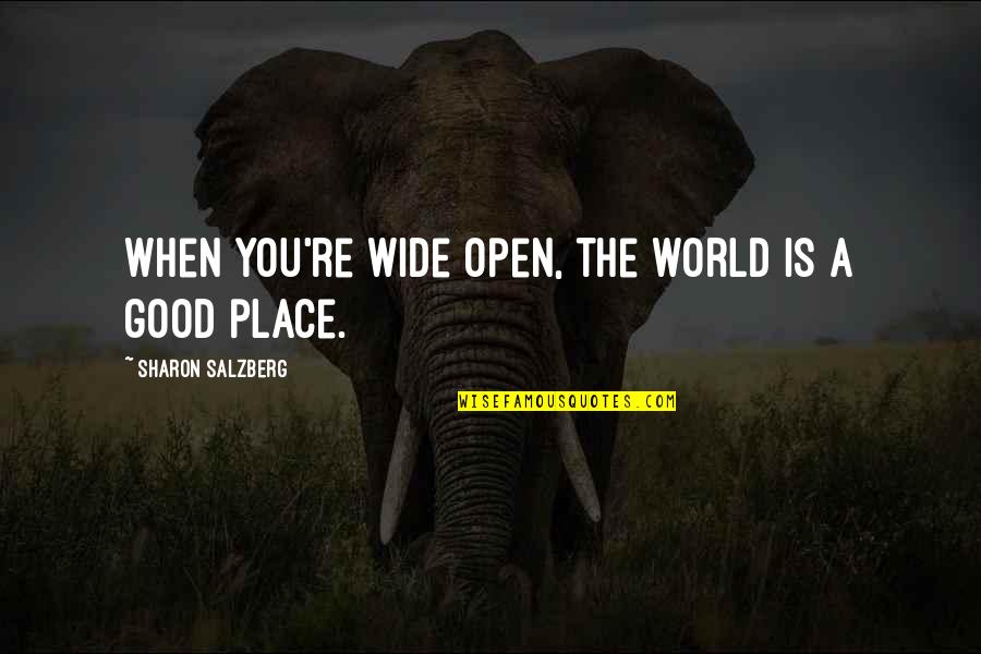 Pastangos Quotes By Sharon Salzberg: When you're wide open, the world is a