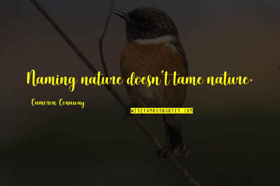Pasteboard Box Quotes By Cameron Conaway: Naming nature doesn't tame nature. Pasteboard Box Quotes By Cameron Conaway: Naming nature doesn't tame nature.