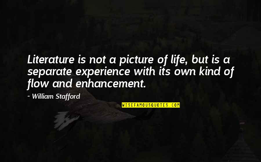 Pasticciotti Quotes By William Stafford: Literature is not a picture of life, but