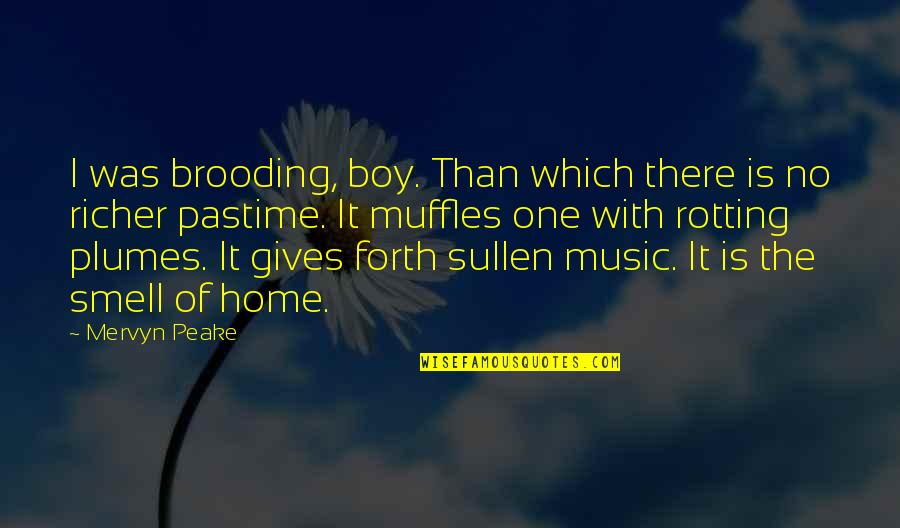 Pastime Quotes By Mervyn Peake: I was brooding, boy. Than which there is