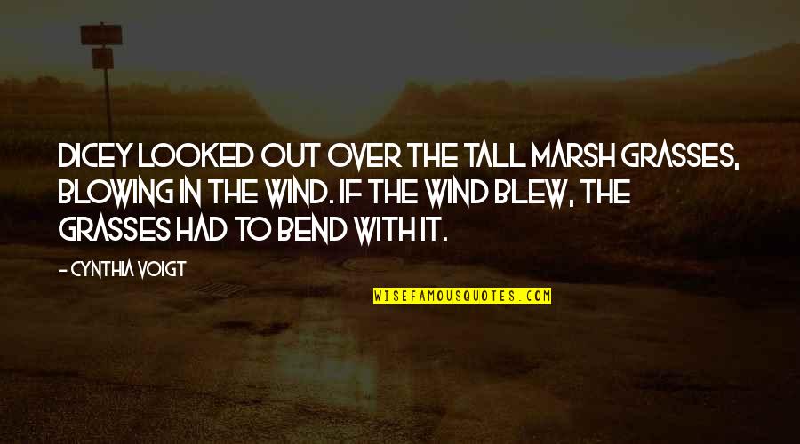 Pastoor Aalst Quotes By Cynthia Voigt: Dicey looked out over the tall marsh grasses, Pastoor Aalst Quotes By Cynthia Voigt: Dicey looked out over the tall marsh grasses,
