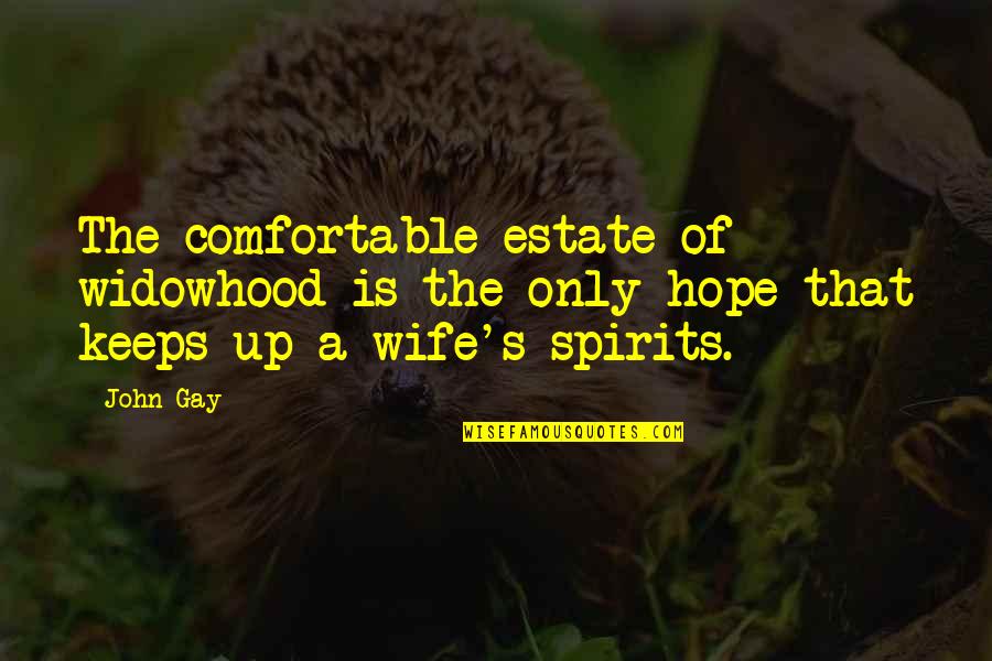 Pastoralism Quizlet Quotes By John Gay: The comfortable estate of widowhood is the only