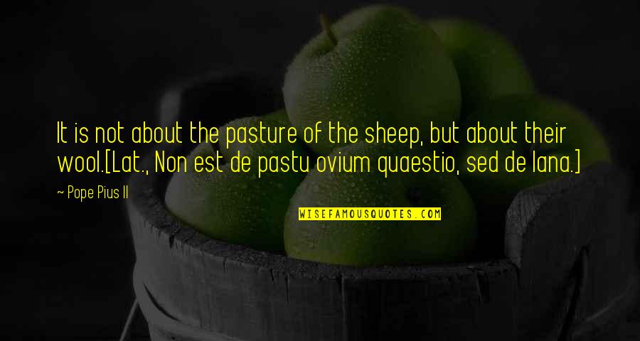 Pasture Quotes By Pope Pius II: It is not about the pasture of the