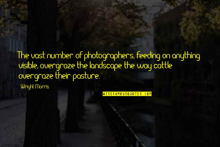 Pasture Quotes By Wright Morris: The vast number of photographers, feeding on anything